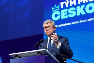 Havlíček: ANO vyšle do voleb do Senátu onkologa Štěrbu nebo právníka Gerlocha - Seznam Zprávy
